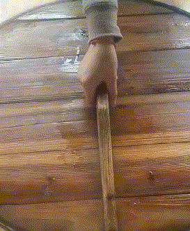 t01b7f29c99aa651a43.gif
