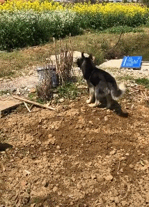 4002f6b07555d3fee407862a175b69dc.gif