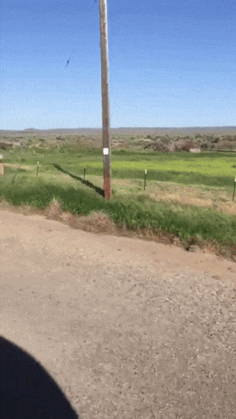 ff4159af08d98b3c639c8a28707670bb.gif