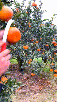def534d0aa739e4e0e692c1400d9f4fd.gif