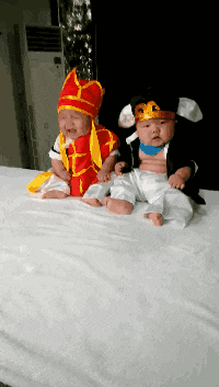 t014a17394df574c53f.gif