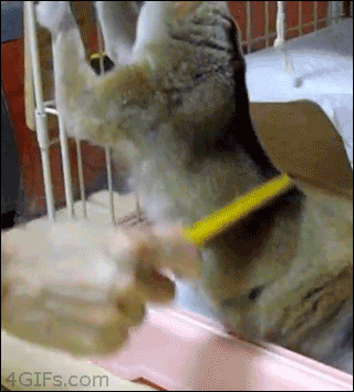 7829411599a197198dcaf4ae0c8bf9d0.gif