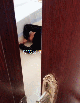 t013423bbdca13cbc5c.gif