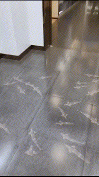 e750bd24bd6d05e466555d1b4dc1520a.gif