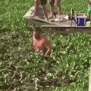 bb4b26aebc37a9c6bfc3dd469fe2555f.gif