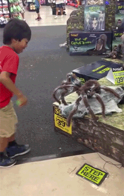 1d75f87fc57d7d3beeabaa42589b3b3c.gif