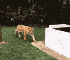 t01e151964361b65fbe.gif