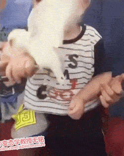 33f5584bccd311cacac3b99df68ec5f4.gif