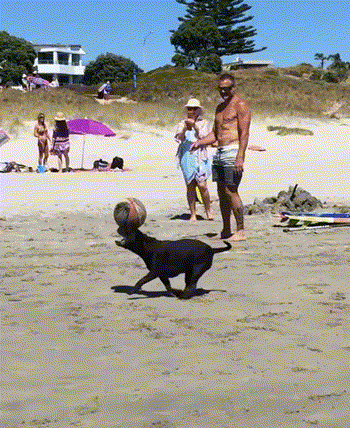 76213cfce722f1c1e24bcc0d8ee8a822.gif