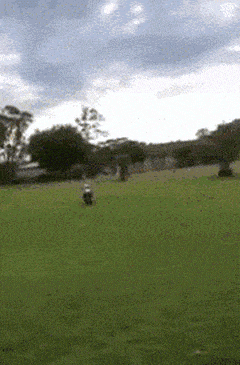 t01b93684d25526f6fa.gif