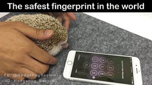 400270c73af186d302e1d21f1ff5adca.gif