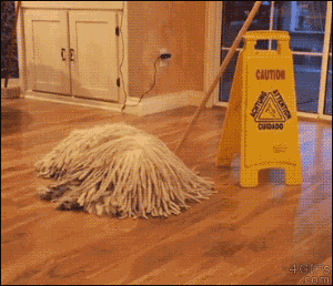 t0146a5f6ae86a41fd0.gif