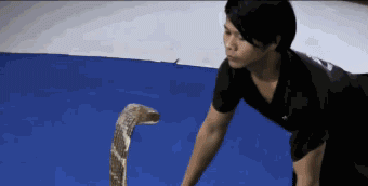 7e72ec435eb94e448a117e64598b0553.gif