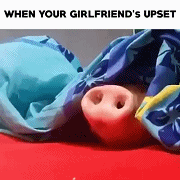 1889d12a702cdf2fe5dd9811cb8b8467.gif