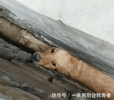 t01ba3e6dd44c2bd5dc.gif