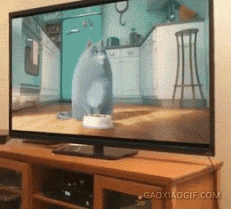 8a265bbd50984f22a7ac97743df697e8.gif
