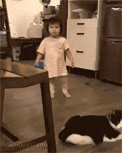 fee4bbbb51b62a7a5860693dbe54f27e.gif
