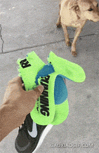 7e57d8098c4d6faffa62c68dbecf5bca.gif