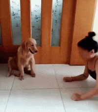 33fe0539eb284e87dc4374ec458b275a.gif