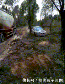 t0116dc2fe1aca4e368.gif