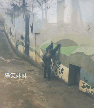 03451241f2fc2d7c8bed5990c76a18ef.gif