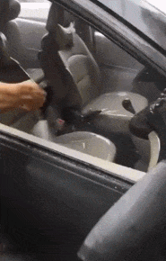 t01c2246e1b688544f1.gif