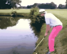 756ad9f37d2c9b606512229d0d615dc6.gif