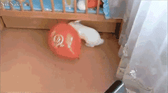 3a21a232e5ad44be99a8d843e0ac426a.gif