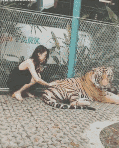 t015a1801ed1edc8abb.gif