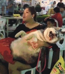 t01338c11715a79ebad.gif