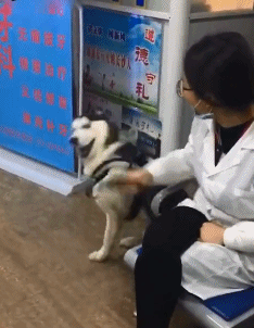 t01734e8f71a25d9afd.gif