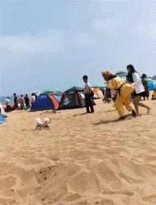 t01c7f2c21af4dfaad1.gif