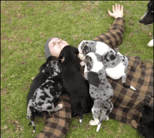 b1c706435040d9cd93e404590c0556f5.gif