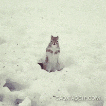 880bcf7bfd0035f287c8abb4e9506dc5.gif