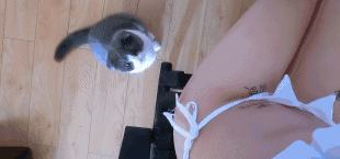 3e4119cf4b5cda4103378f7101fb5305.gif