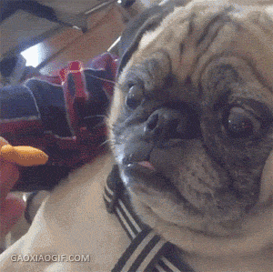af687e838a02afe8c275b4b524596719.gif
