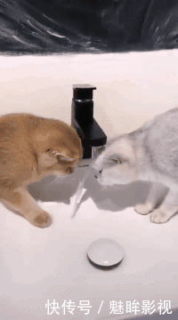 t017ff9af4ab568a309.gif
