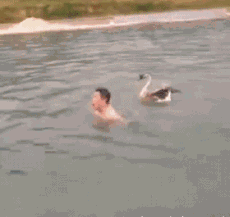 48a2d302db454610901c32a917a01b52.gif