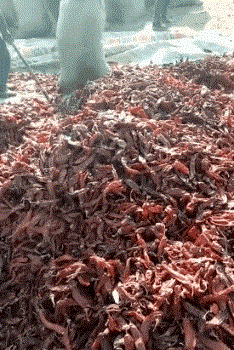 t01df8e0c1d49695859.gif