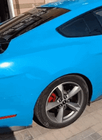 t01162aae0edb6b50ff.gif
