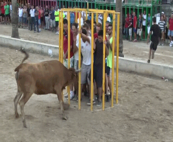 feb5357d70644854be30227696c6c0ac.gif