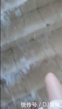 t013828ec819af2b73e.gif