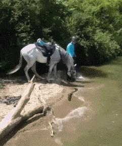 46ec0000d49291263b0b.gif