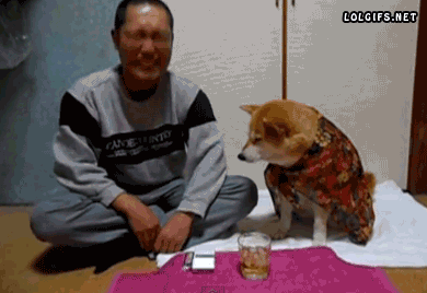 t012249436f2909b994.gif