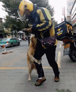 49488b1451fa4ab1a54c73e60ad0f689.gif