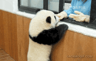 b2d7cb3cd7ad49e5b8d13f4dcd9bdc43.gif