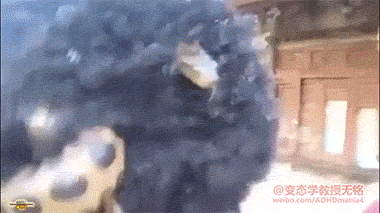 cba1a2b7d52a9d7acd5ea3a0025bf4f8.gif