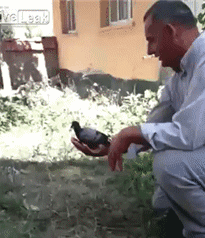 0bdca1dca4924f17b1715ee5d894a745.gif