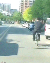 t01d9ba068b084fd9f7.gif