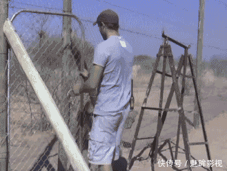 t01a01a7ebdbfd29904.gif
